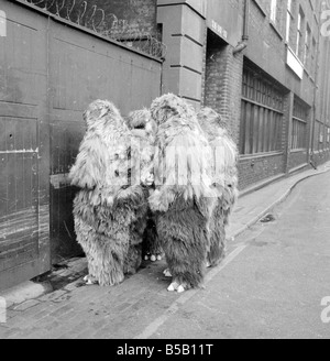 The Yeti Mark two - seven foot tall monsters with light eyes, electrical nervous system, electronic roars, and assisted by a fungoid mist have taken over London for the TV series Dr Who. The yeti's are played by actors Gordon Stothard, John Lord, Colin Warman and John Levene, wearing suits made from Yak fur and wool with eyes that light up.;Our Picture Shows: An anxious moment the Yeti's near Goodge Street underground station in London. Dec 1967;X11800 Stock Photo