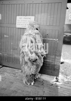 The Yeti Mark two - seven foot tall monsters with light eyes, electrical nervous system, electronic roars, and assisted by a fungoid mist have taken over London for the TV series Dr Who. The yeti's are played by actors Gordon Stothard, John Lord, Colin Warman and John Levene, wearing suits made from Yak fur and wool with eyes that light up.;Our Picture Shows: Yeti's near Goodge Street underground station in London. Dec 1967;X11800 Stock Photo