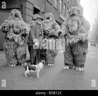 The Yeti Mark two - seven foot tall monsters with light eyes, electrical nervous system, electronic roars, and assisted by a fungoid mist have taken over London for the TV series Dr Who. The yeti's are played by actors Gordon Stothard, John Lord, Colin Warman and John Levene, wearing suits made from Yak fur and wool with eyes that light up.;Our Picture Shows: An anxious moment for a jack russell dog when he meets up with the Yeti's near Goodge Street underground station in London. Dec 1967;X11800 Stock Photo