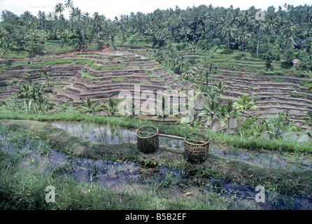 Terraced rice paddies near a small village in inland Bali Stock Photo