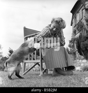 Authoress Janet Green seen here with her cat. 1960 Stock Photo