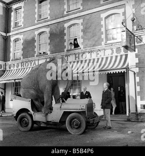 Elephant driving car. 1960 C34-002 Stock Photo