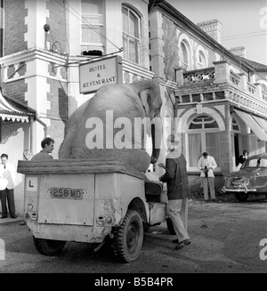 Elephant driving car. 1960 C34-009 Stock Photo