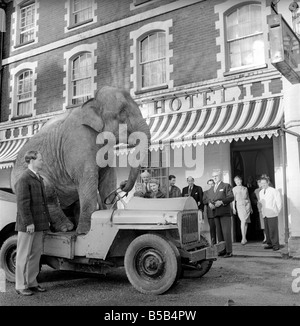 Elephant driving car. 1960 C34-010 Stock Photo