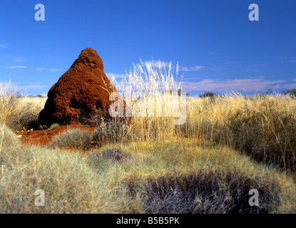 Termite Mound in Landscape, Hamersley Range, Karijini National Park, Pilbara, Northwest Australia Stock Photo