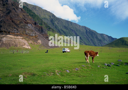 Pastures near settlement of Edinburgh Tristan da Cunha mid Atlantic Stock Photo