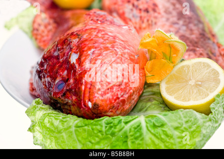 Fresh fish with cabbage and lemon Isolated on white Stock Photo