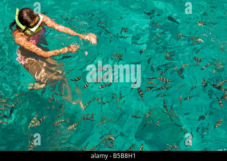 Pandanon Island, Nalusuan Marine Sanctuary, Cebu island, The Philippines, Southeast Asia Stock Photo