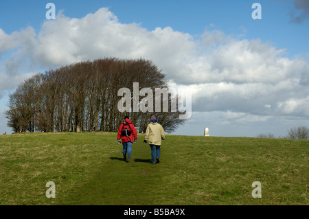 Two walkers approaching the small copse of beech trees on Win Green Stock Photo
