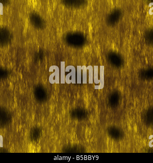A leopard print texture that tiles seamlessly as a pattern in any direction Stock Photo