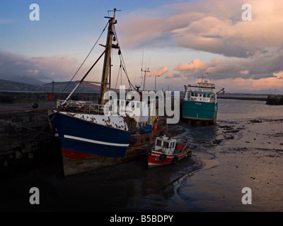 Trawler in Carlingford Harbour Co. Louth Ireland Stock Photo