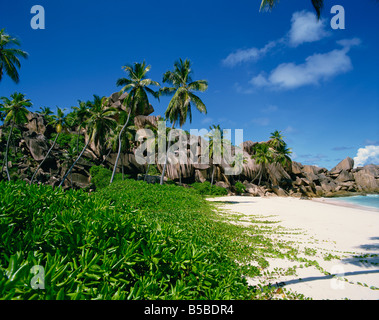 Grand Anse La Digue Seychelles Indian Ocean Africa Stock Photo