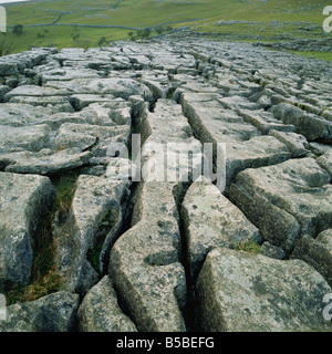 Limestone pavement, Malham, Yorkshire Dales National Park, North Yorkshire, Yorkshire, England, Europe Stock Photo