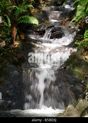 Small Waterfall Between Rocks Falling water and a small waterfall between the solid rocks in the ...