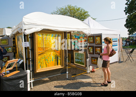 Art In The Barn Charity Art Festival Barrington Illinois Usa