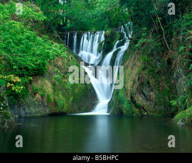 Furnace Falls and pool below Furnace Dyfed Wales United Kingdom Europe Stock Photo