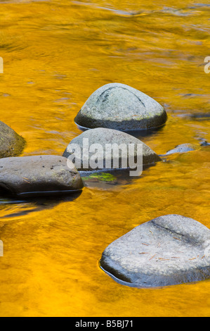 Reflections of Fall color on the Breitenbush River Willamette National Forest Oregon