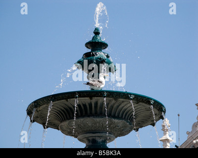 Seagull on a Baroque fountain in Rossio (praca Dom Pedro IV), Lisbon, Portugal Stock Photo