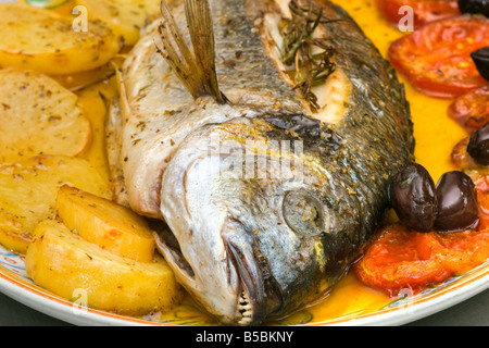 Fresh fish Gilt head Bream cooked in owen with tomatoes potatoes and olives Stock Photo