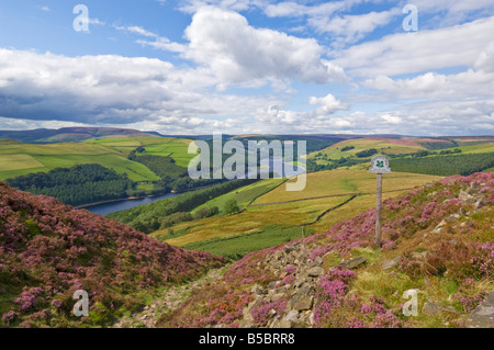 Whinstone lee tor Derwent edge Ladybower reservoir Derbyshire Peak District national Park Derbyshire England UK GB EU Europe Stock Photo