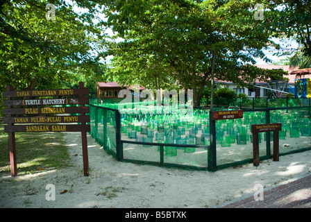 Selingaan Turtle Hatchery, Borneo Stock Photo