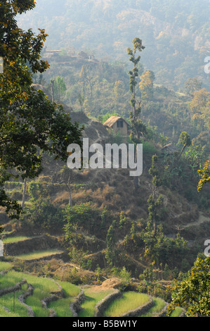 Nepal Rural House Rural house in the hills of Nepal Stock Photo - Alamy