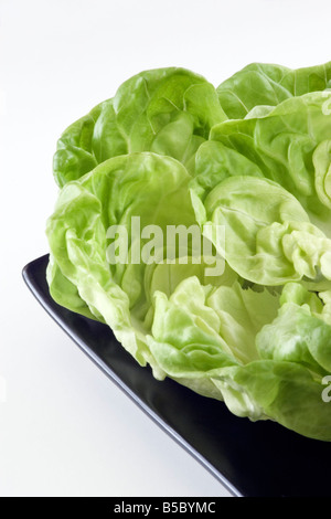 Green salad lettuce fresh leaves, on gray background Stock Photo - Alamy