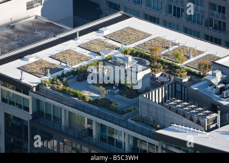 Curated visual reference: Visual Reference: Rooftop Gardens On High Rise Buildings In Downtown Seattle Washington