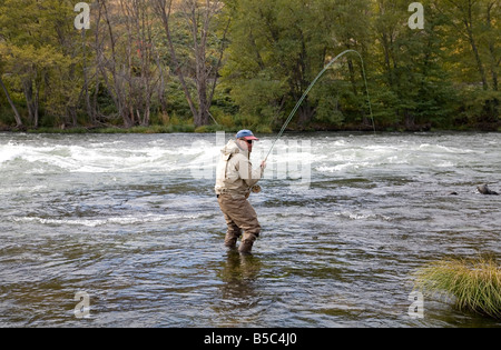 A fly fisherman using a Spey rod hooks a larger steelhead trout on the Deschutes River near the town of Maupin, Oregon. Stock Photo