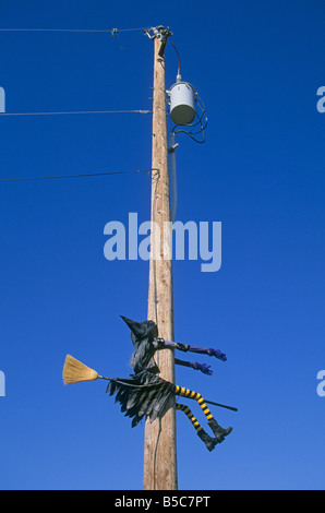 This Halloween witch on her broomstick should have been more careful Stock Photo