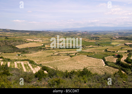 Basque Country, Spain. La Rioja Alavesa wine region near Haro Stock Photo