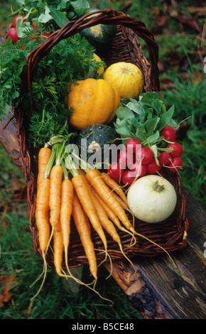 A wicker basket full of Autumn vegetables. Stock Photo