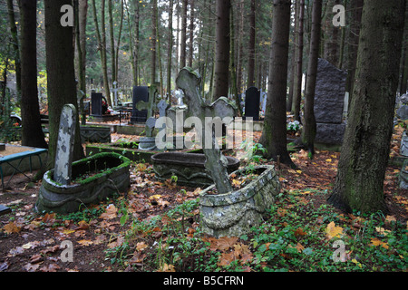 Old orthodox cemetery in the woods Stock Photo