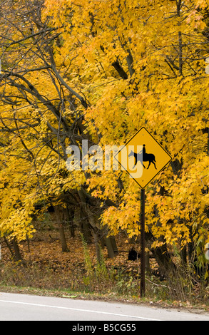 Yellow equestrian crossing sign by yellow foliage at roadside Stock Photo