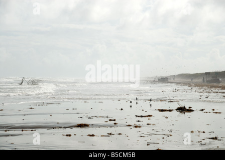 Padre Island beach after hurricane Ike, Southern Texas, USA Stock Photo