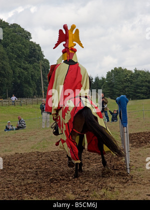 Rear view of a knight on horse at a joust Stock Photo