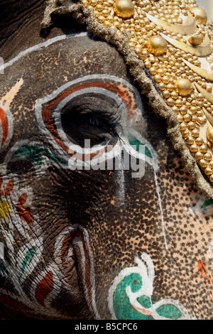 Decorated elephant during Mysore Dasara festival in 2008. Stock Photo