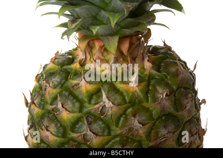 close up of the skin and crown of a gold pineapple Stock Photo