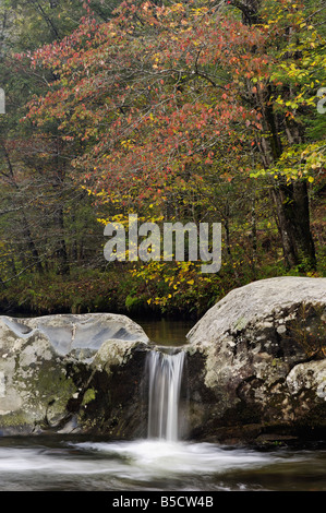 Small Waterfall and Autumn Color on the Middle Forf of the Little Pigeon River in the Greenbrier Area of Great Smoky Mountains Stock Photo