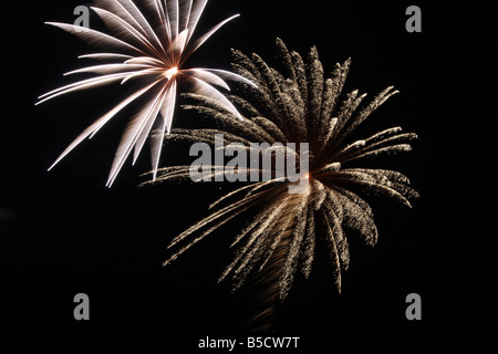 Star or leaf shaped fireworks bursts Stock Photo