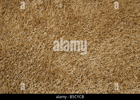 carpet detail background Stock Photo