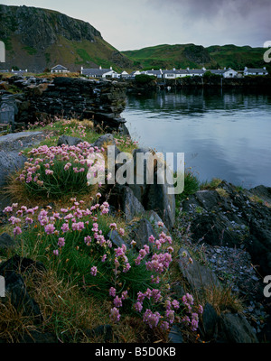 View across one of the flooded quarries at Ellenabeich, Isle of Seil, Argyll and Bute, Scotland, UK Stock Photo