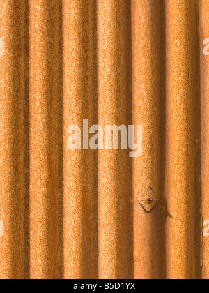 Rusty corrugated iron Stock Photo