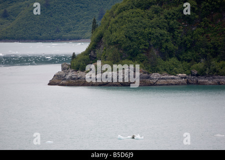 Rocky coastline of an Inside Passage island and ice flow in the waters near Hubbard Glacier in Alaska Stock Photo