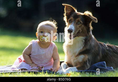 Australian Shepherd (Canis lupus familiaris). Baby sitting next to dog on a blanket on a lawn Stock Photo