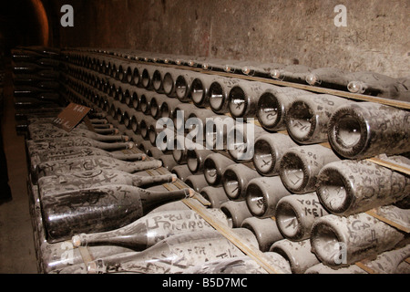 Moet et Chandon old dusty vintage champagne bottles at their Cellars Head Office, Epernay France Horizontal. 50645 Epernay2005 Stock Photo