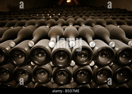 Moet et Chandon old dusty vintage champagne bottles at their Cellars Head Office, Epernay France Horizontal. 50646 Epernay2005 Stock Photo