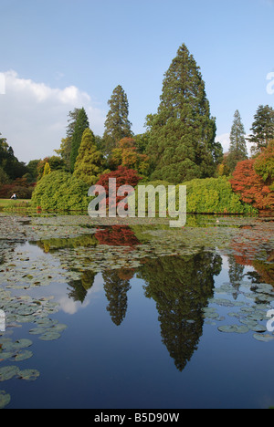 Beautiful autumnal colours reflecting in the water at Sheffield Park, East Sussex, England. Stock Photo