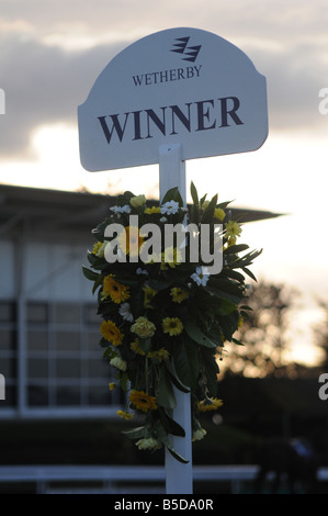 The winner's spot in the paddock at Wetherby racecourse, UK Stock Photo
