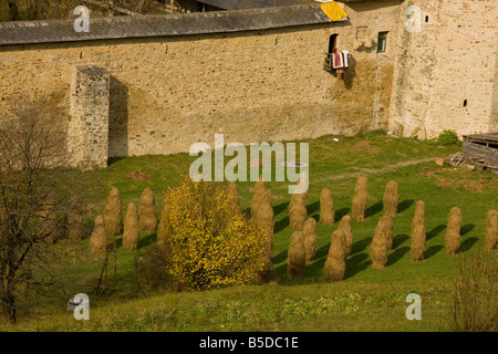 A wall of hay Stock Photo - Alamy